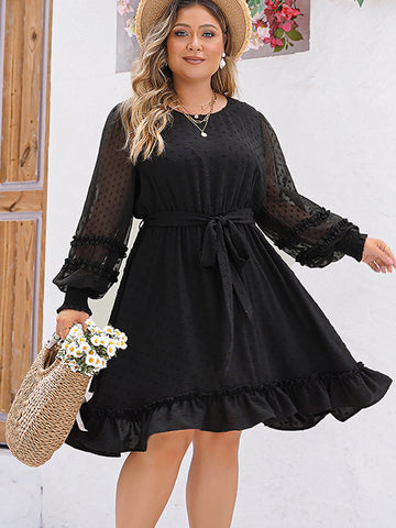 Plus Size Swiss Dot Round Neck Long Sleeve Dress - ONLINE ONLY