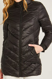 Contrast Trim Puffer Jacket